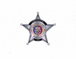 BADGE LOGO